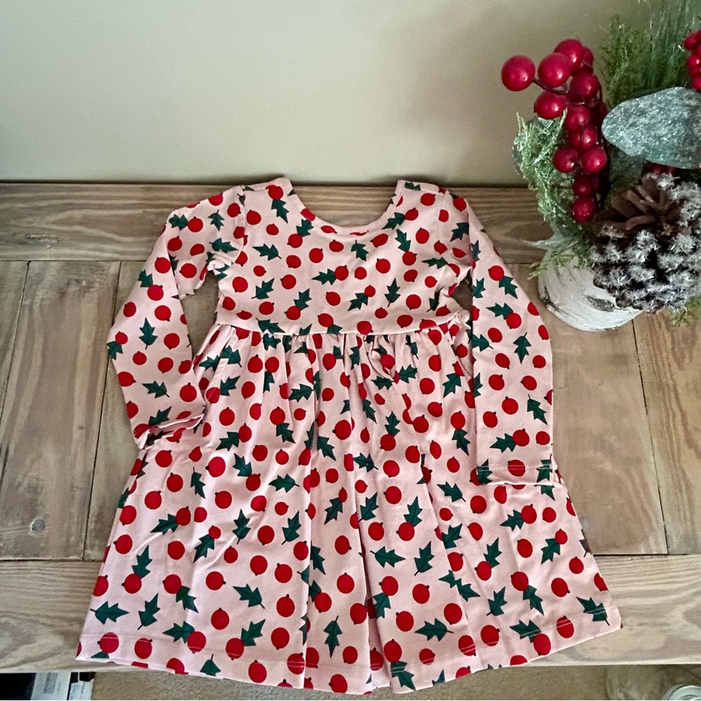 Hanna Andersson Pink Snowberries Dress 🎄